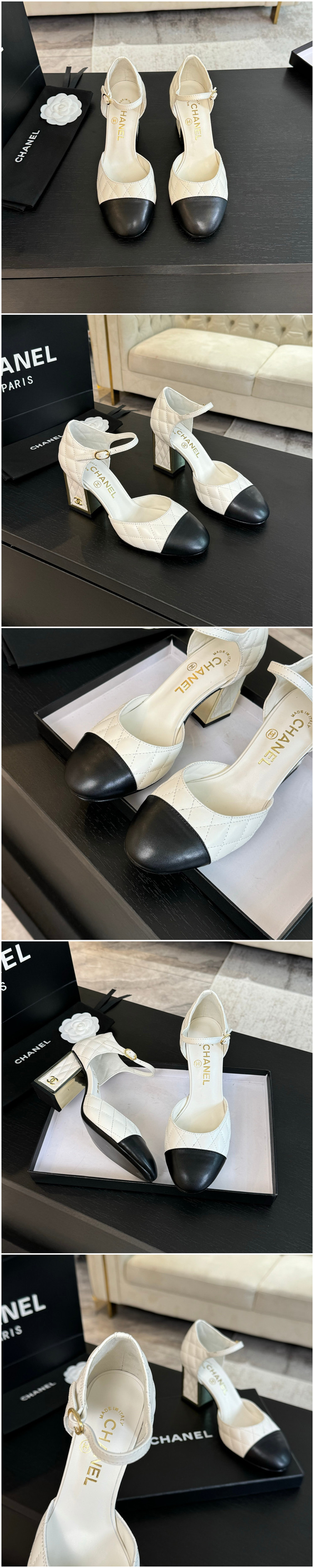 280.jpg
