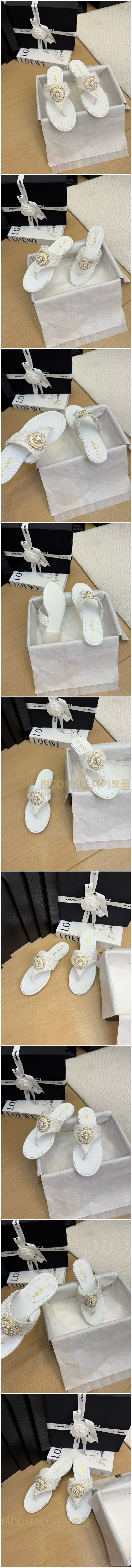 546.jpg