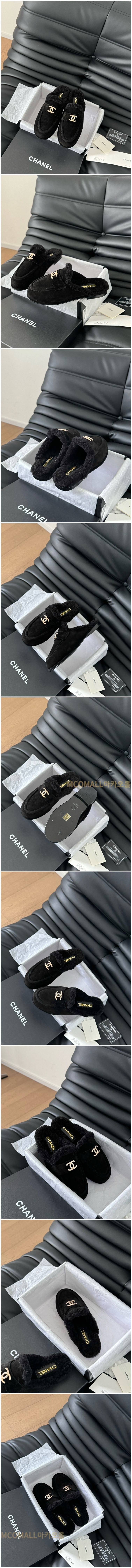 341.jpg